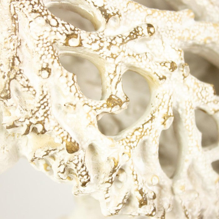 Hanah Coral Creatures Turtle Hand Painted Resin Nautical Gift - 26cm