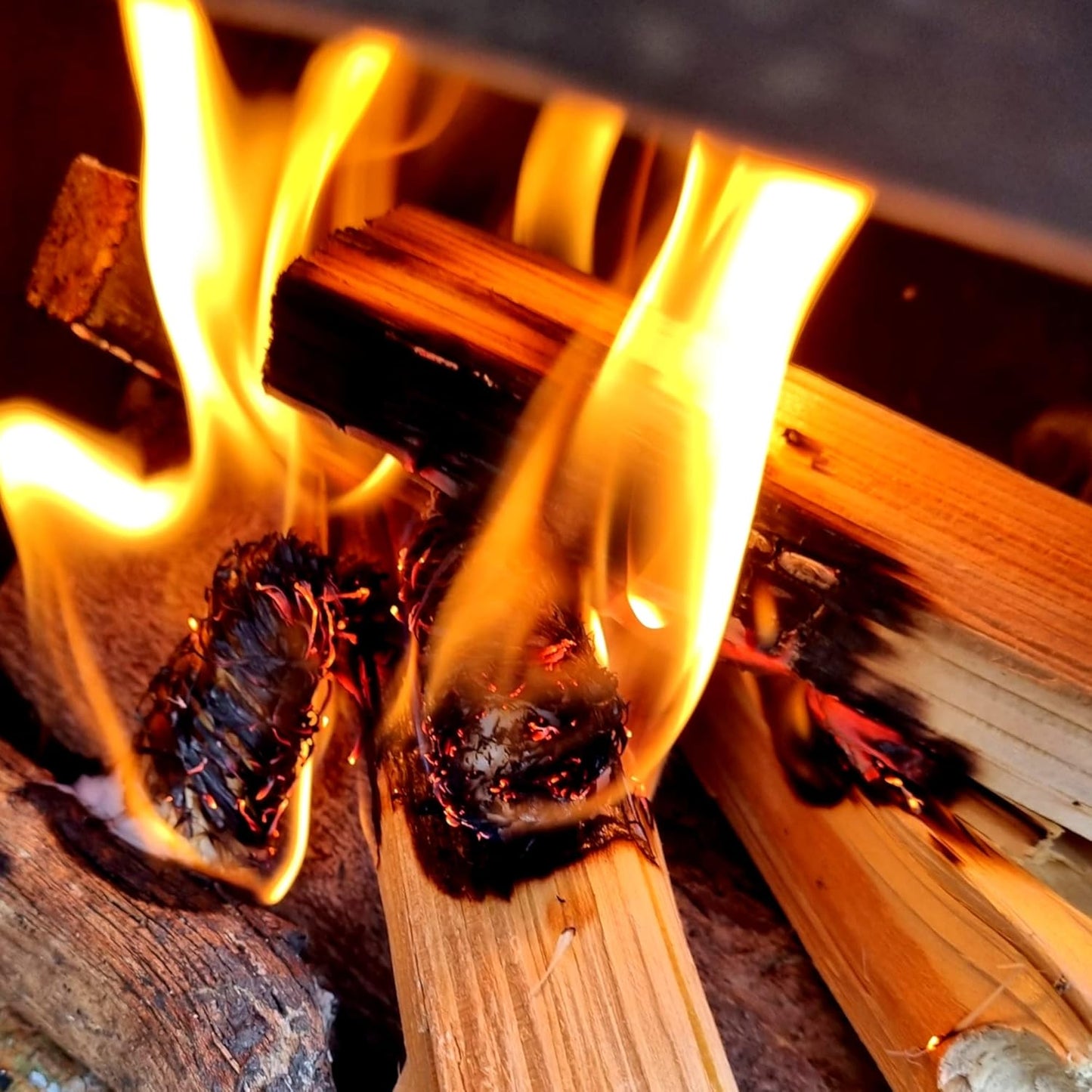 Ecoblaze Kiln Dried Kindling Wood Bag Aprox 6.5 KG