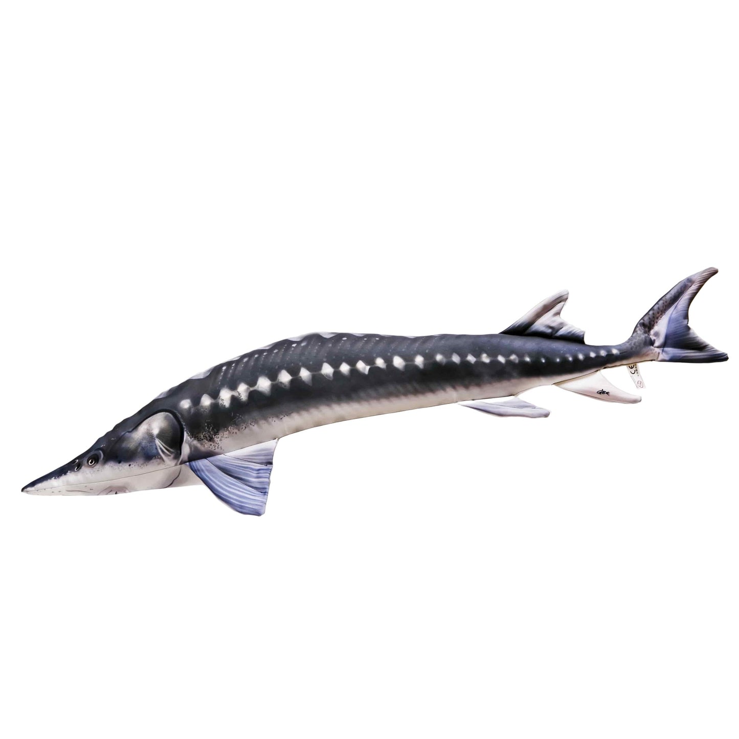 Gaby Fish Pillows Giant European Sturgeon Saltwater Fish Pillow Cushion - 120cm