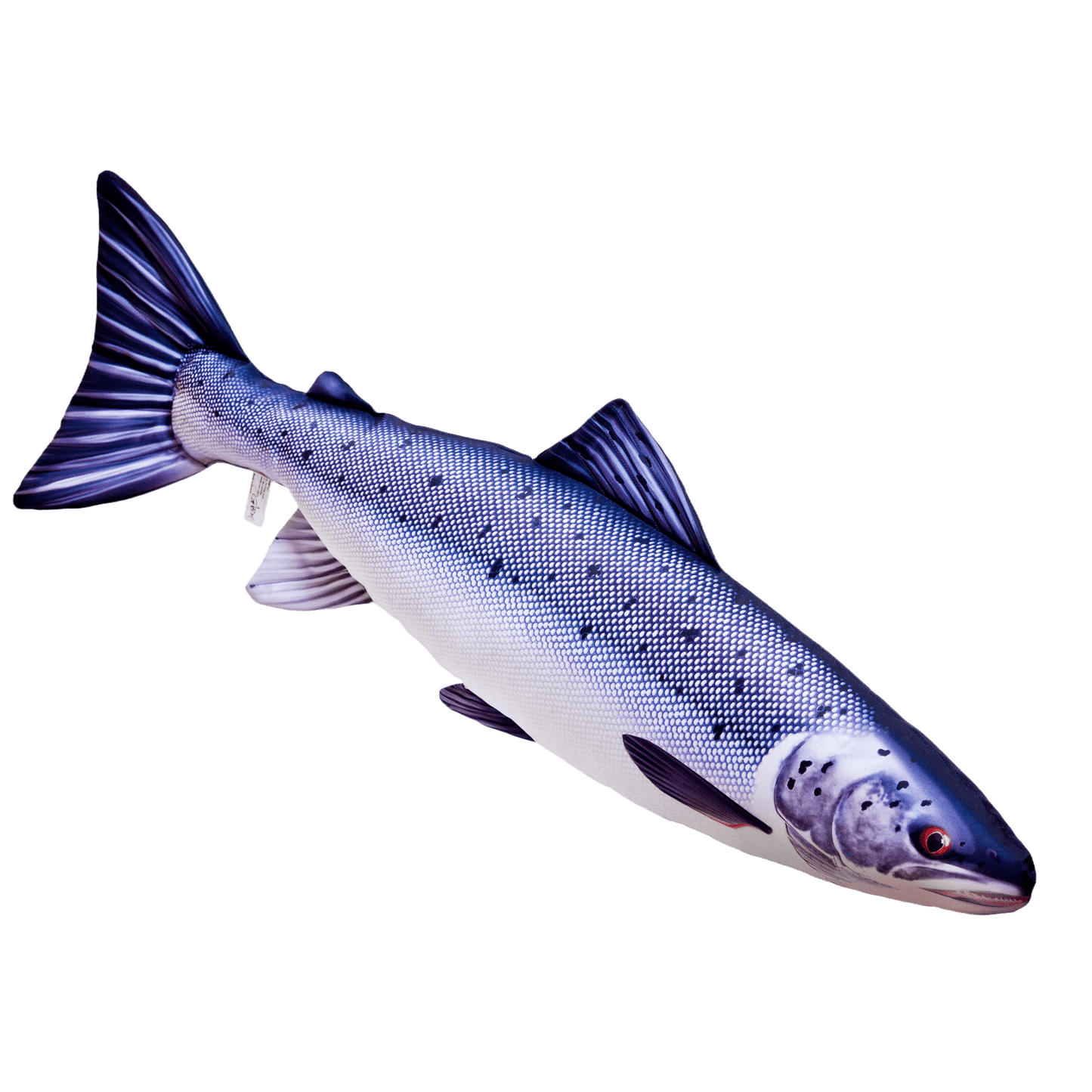 Gaby Fish Pillows Medium Atlantic Salmon Saltwater Fish Pillow Cushion - 90cm