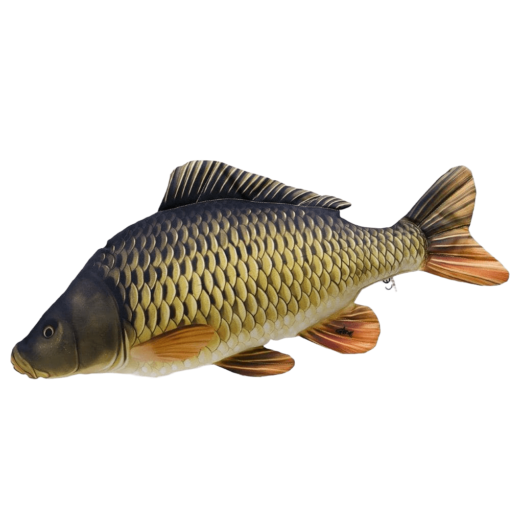 Carp pillow discount