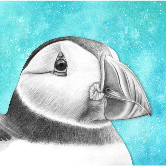 Puffin Pencil Drawing - Signed Giclée Wall Art Print - Wildlife Portraits - East Neuk Beach Crafts