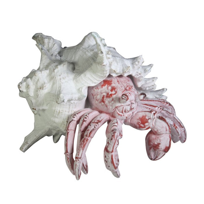 Hanah Coral Creatures Hermit Crab Hand Painted Resin Nautical Gift - 19cm