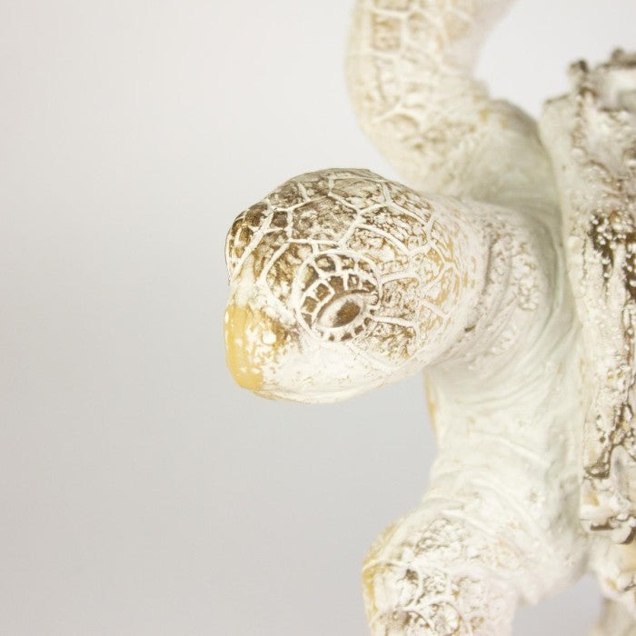 Hanah Coral Creatures Turtle Hand Painted Resin Nautical Gift - 26cm