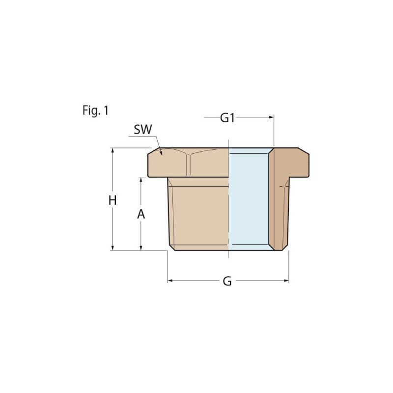 Guidi Bronze Reducing Bushing Male To Female