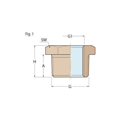 Guidi Bronze Reducing Bushing Male To Female