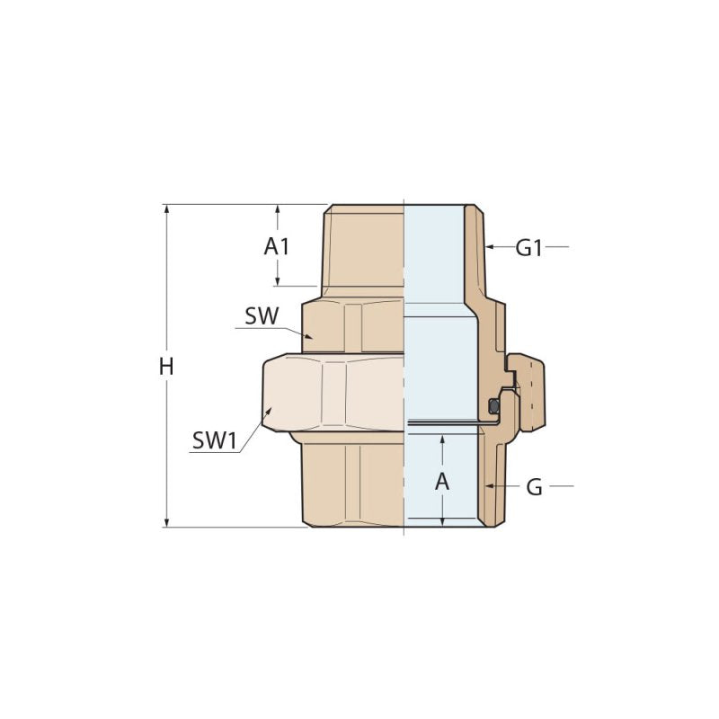 Guidi Bronze Union Male To Female Tapered Seat With O-Ring