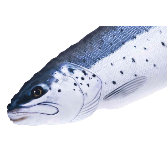 Gaby Fish Pillows Giant Sea Trout Saltwater Fish Pillow Cushion - 110cm