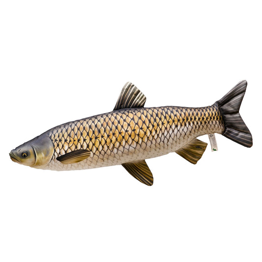 Gaby Fish Pillows Mini Grass Carp Freshwater Fish Pillow Cushion - 40cm