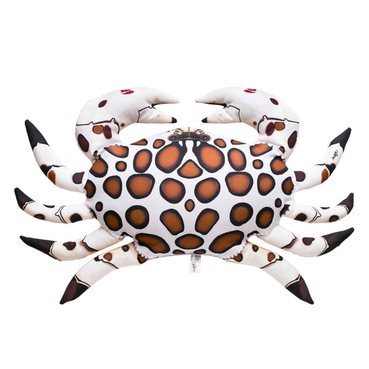 Gaby Fish Pillows Medium Calico Crab Seawater Fish Pillow Cushion - 60cm