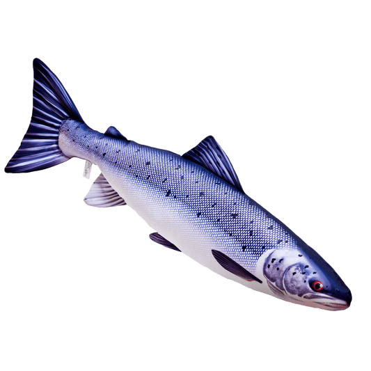 Gaby Fish Pillows Medium Atlantic Salmon Saltwater Fish Pillow Cushion - 90cm