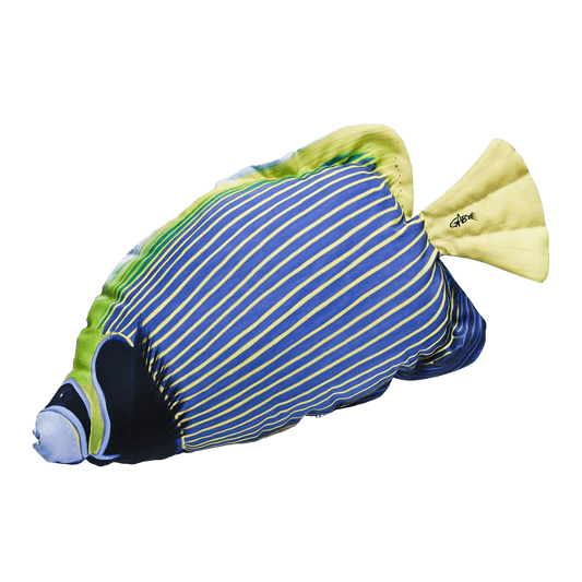 Gaby Fish Pillows Mini Emperor Angelfish Tropical Saltwater Fish Pillow Cushion - 32cm