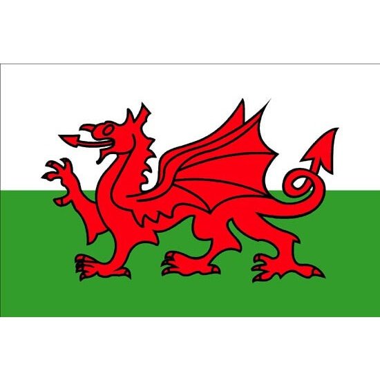 Wales Welsh Dragon Courtesy Flag - 30cm x 45cm