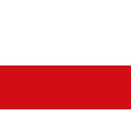 Poland Courtesy Flag - 30cm x 45cm