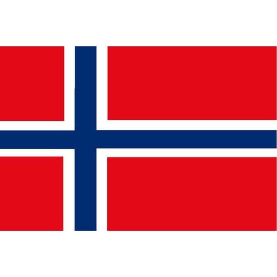 Norway Courtesy Flag - 30cm x 45cm