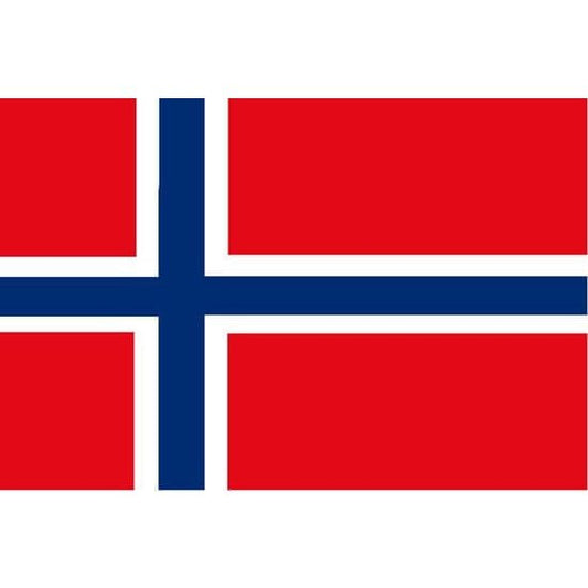 Norway Courtesy Flag - 30cm x 45cm