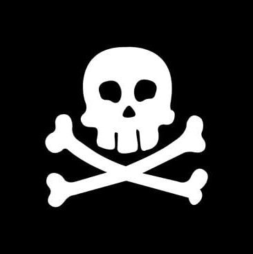 Jolly Roger Flag 30 x 45cm