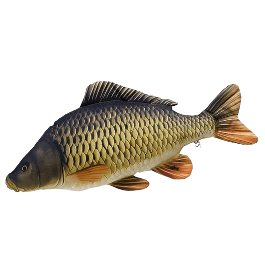 Gaby Fish Pillows Medium Common Carp Freshwater Fish Pillow Cushion - 64cm