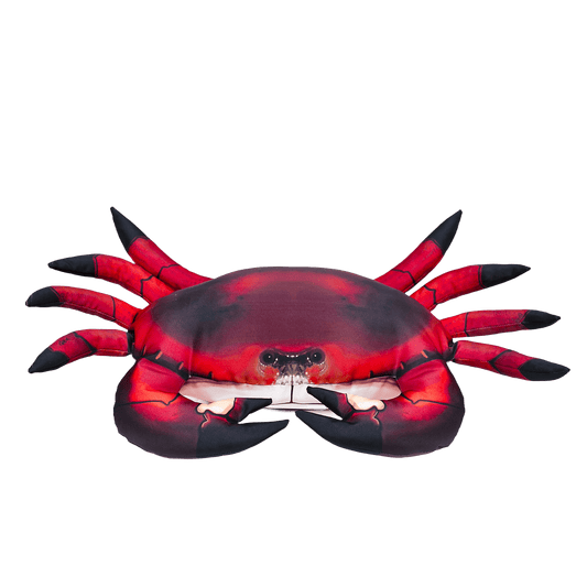 Gaby Fish Pillows Medium Common Crab Saltwater Fish Pillow Cushion - 60cm