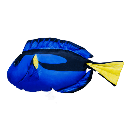 Gaby Fish Pillows Medium Regal Tang Tropical Saltwater Fish Pillow Cushion - 56cm