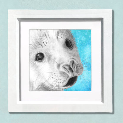 Baby Seal Pencil Drawing - Signed Giclée Wall Art Print - Wildlife Portraits - East Neuk Beach Crafts